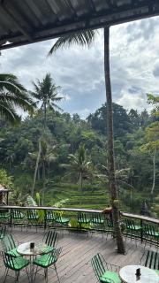 Bali For Travelers - 4