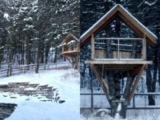 Secluded Cabin Rental Nestled in Woods of Snow King Mountain near Jackson Hole - 0