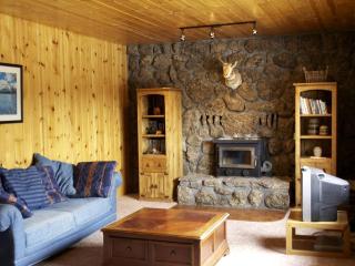 Secluded Cabin Rental Nestled in Woods of Snow King Mountain near Jackson Hole - 9