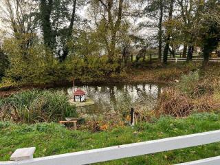 Seatons Hidden Gem Charming Holiday Cottage - 3