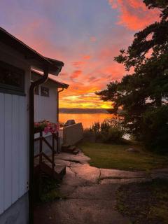 Seaside Cabin With Panoramic Views Of Viksfjord - 8