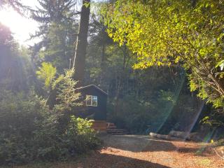 The Black Bear Cabin - 4