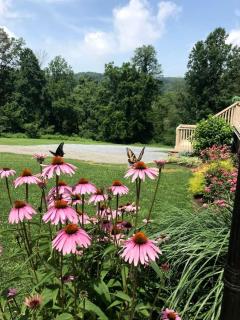 Fantastic A-Frame Cabin for a Couples' Getaway near Robesonia, Pennsylvania - 5