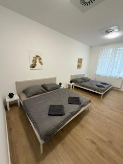 The Blue Church Comfort Apartment Old Town Self Check-in - 6