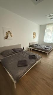 The Blue Church Comfort Apartment Old Town Self Check-in - 3