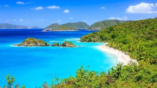 Cruz Bay Oasis Walk to Beach & Restaurants - 7