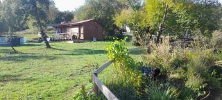 Quinta da Bolota - Alvaiázere - 3