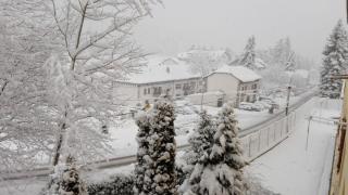 Mira Moleta bienvenidos a Canfranc - 9