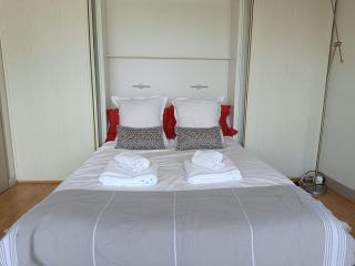 La Tour Gambetta T3 Vue lac - 1