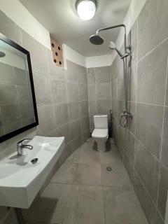 L'Arbre du voyageur 09 T1 Mamoudzou hypercentre - 3