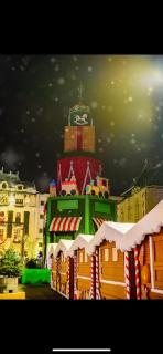 Apartament Central Madonna - Petunilor - 7