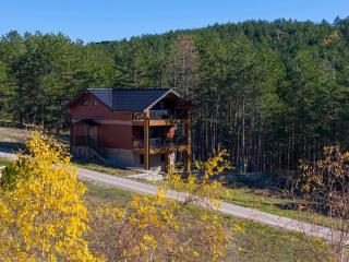 Vila Aleksandrija Zlatibor - 9