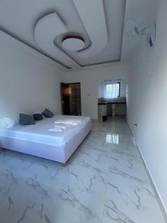 The Perfect Accommodation - 5