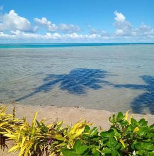 Maupiti Authentique - 6