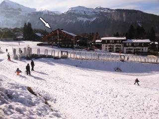 Charmant 2 pièces avec WIFI et 4 couchages à Le Pernant - FR-1-836-16 - Les Carroz-d'Araches - 1