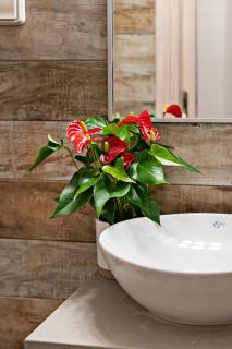 Rooftop apartment,in the heart of old town! - 2