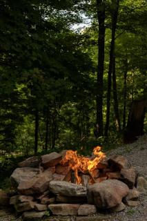 Secluded West Virginia Cabin Rental on the Edge of Monongahela National Forest - 6