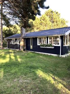 Cozy cottage near beach and nature - 0