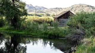 Stunning Cottage with Fire Pit in Saratoga, Wyoming - 4