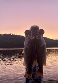 Enchanting Cabin with Breathtaking Sunset and Lake Views in North Carolina - 6