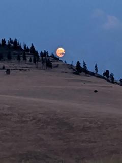 Remote Spacious Dome with Incredible Outdoor Landscape in Montana - 9