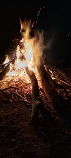 Brindavan Gardens Courtyard Villa Vagamon - 9