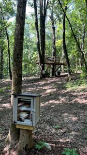 Luminous Tiny Cabin with Amazing Hiking Trails in Alabama - 3