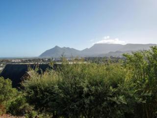 African Violet - Loft Living - 2