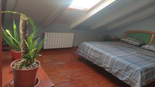 Woodpecker Hostel Montenegro - 3