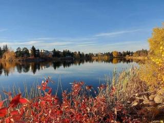 Cozy 3 bedroom house close to Beaumaris Lake - 2