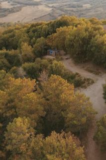 Una Stanza con vista tra le colline senesi - Friland - 9