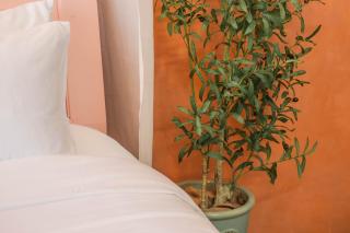 M Maison- Stay chill in District 1 - 8