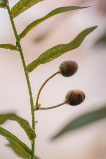 M Maison- Stay chill in District 1 - 6