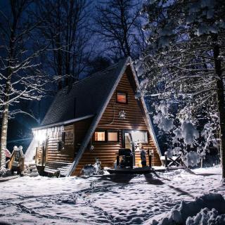 Secluded A-Frame Cabin with Private Riverfront on Little Manistee River near Tustin, Michigan - Luther - 9