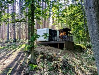 Secluded Modern Tiny House with Wood-Fired Hot Tub Near Trails in Sears, Michigan - 8