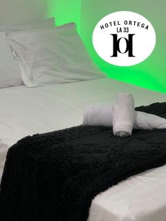hotel ortega la 33 - 3