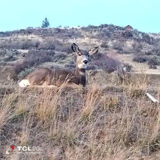 Stunning Off-Grid Dome with Spectacular Views for a Unique Glamping Getaway in Montana - 5