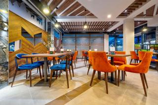 Tomy Forest Cigar Bar - 4