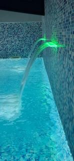 Tomy Forest Cigar Bar - 2