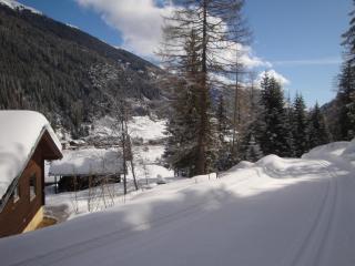 Ferienbungalows MOHR - 2