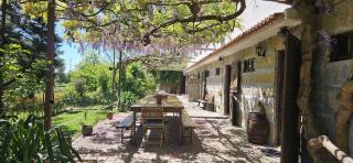 Casa da Alvarinha Privacidade, Conforto, Natureza - 9