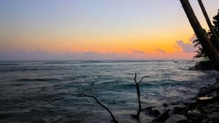 Turtle Sea Guest & Restaurants - 6