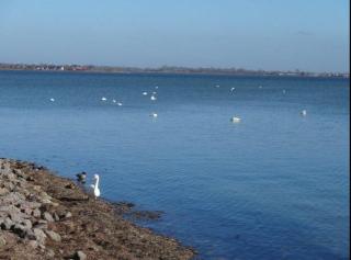 Yachthafen in Orth - 2