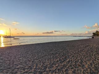 La Maison Jaune - Swimming pool & beach access 50 m away - 4