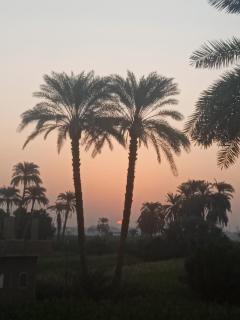 Sun Rise House Luxor - 7