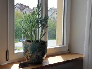 Bahnhof Grombach - 2