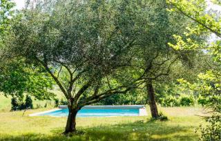 Mas Piscine Proche Uzès - 7