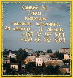 Квартира 1- комнатная посуточно - 5