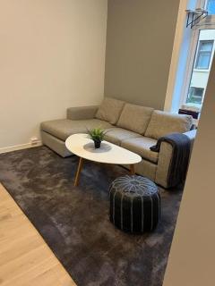 Scandinavian Flat Central Oslo - Oslo - 3