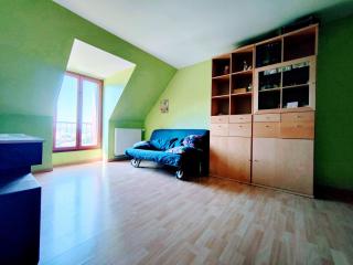 Jean Monnet - Séjour à Auxerre - 1